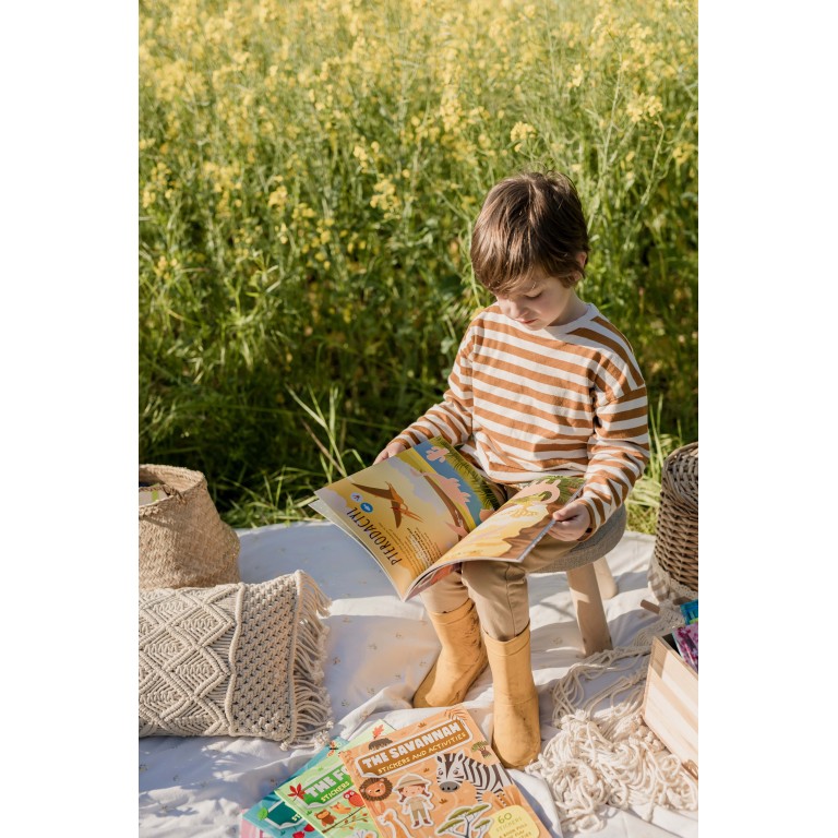 Stickers and Activities. Dinosaurs