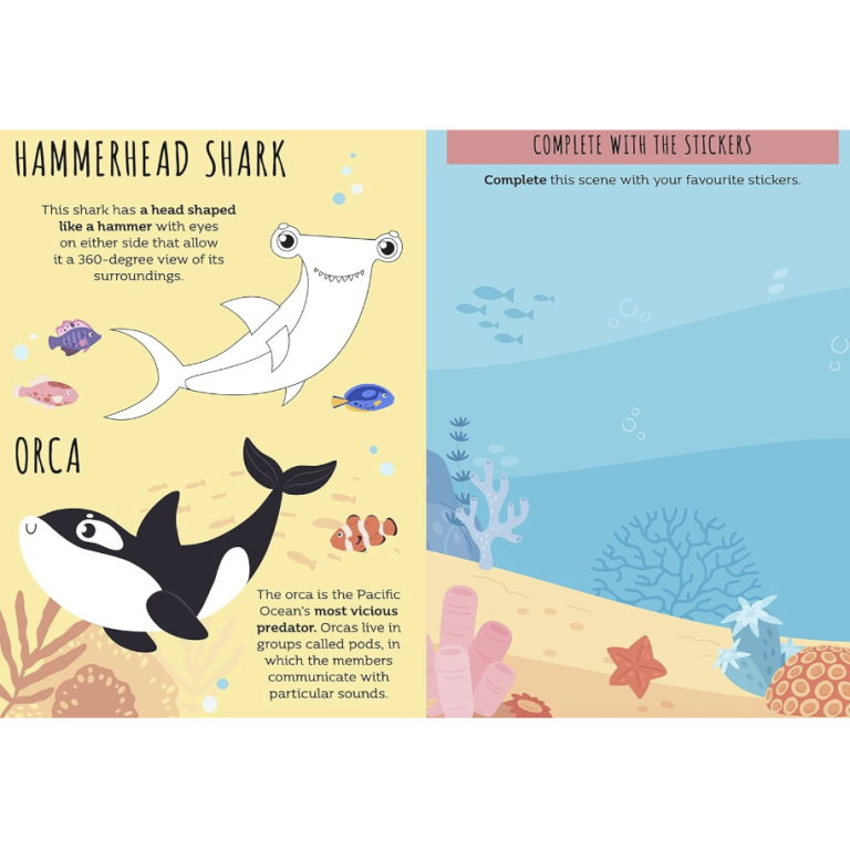 Card Games. Watch Out for the Shark