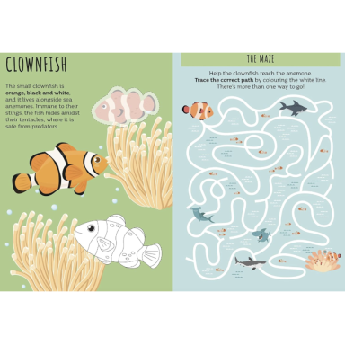 Card Games. Watch Out for the Shark