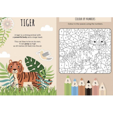 Card Games. Happy Families. The Jungle