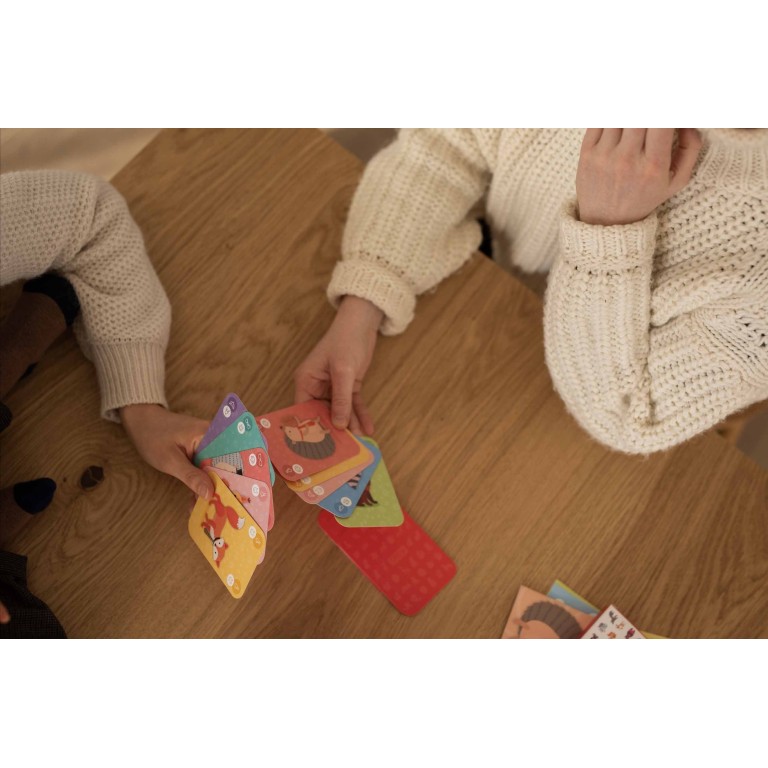 Card Games. Happy Families. The Savannah