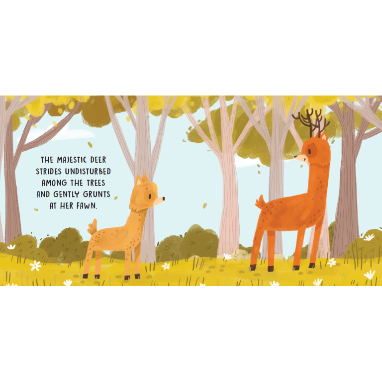 Sweet Sounds Stories. The Woods