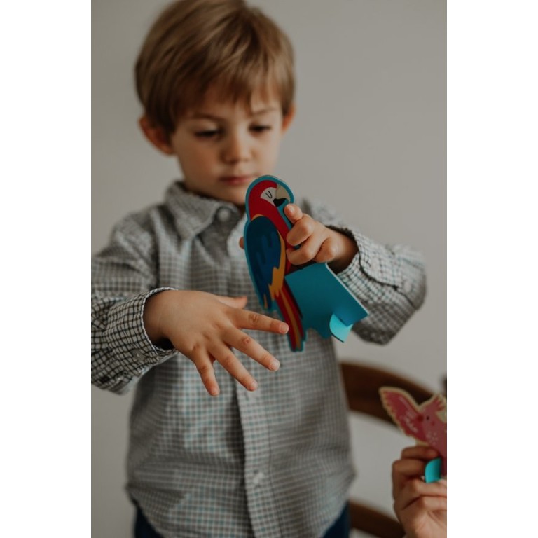 Q-Box. World of Birds