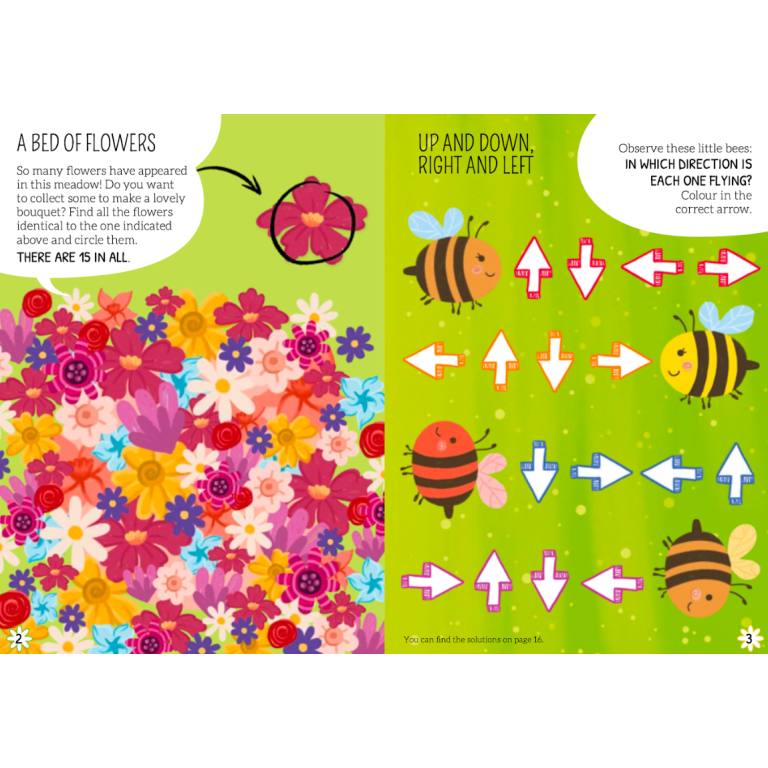 My First Logic Games. Matching Flowers