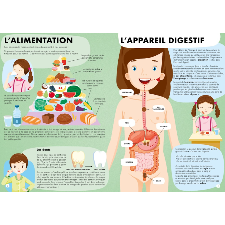 Voyage, découvre, explore. Découvre le corps humain