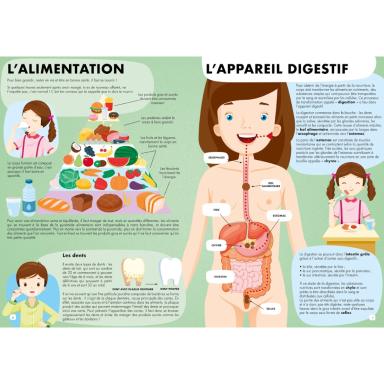 Voyage, découvre, explore. Découvre le corps humain