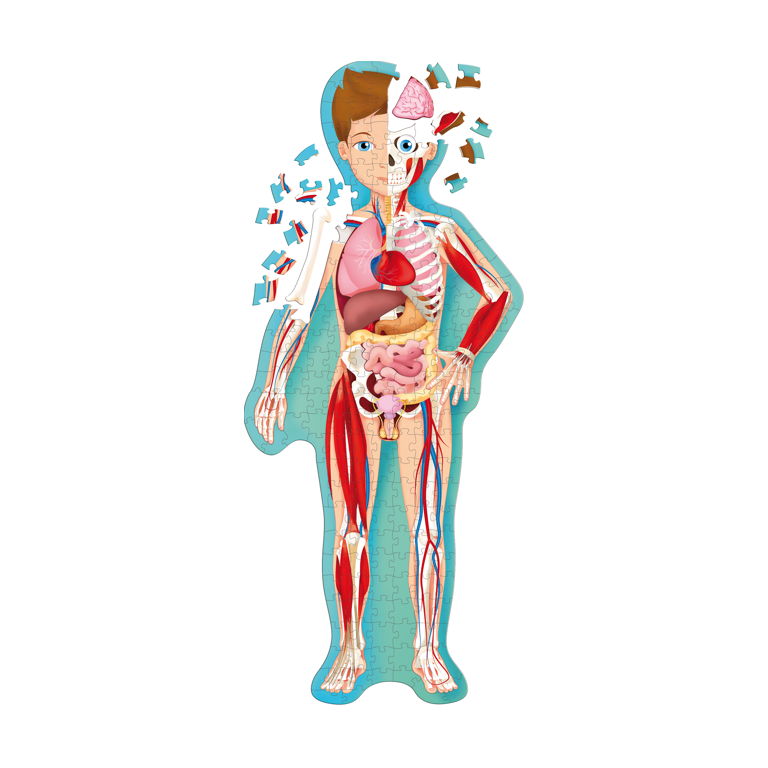 Voyage, découvre, explore. Le corps humain