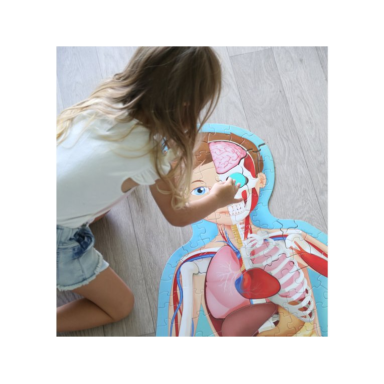 Voyage, découvre, explore. Le corps humain