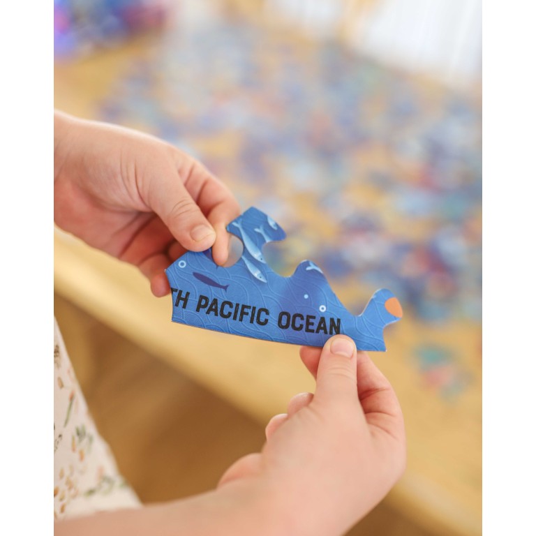 Voyage, découvre, explore. La mer