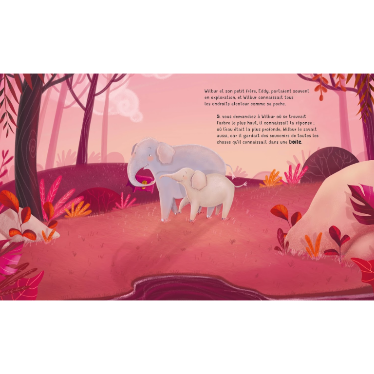 La boite à souvenirs de wilbur