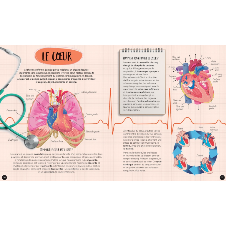 Quoi, comment, pourquoi. Le corps humain
