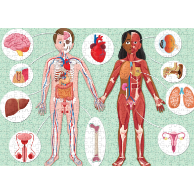 Le coffret du méga atlas du corps humain