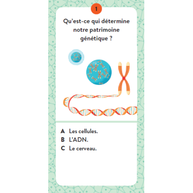 Le coffret du méga atlas du corps humain