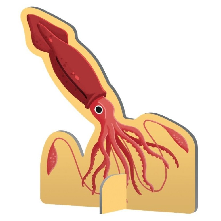 Le coffret du méga atlas de la mer