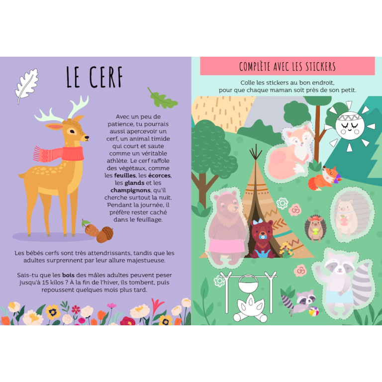 Le super 7 familles. La forêt