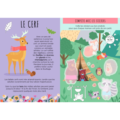 Le super 7 familles. La forêt