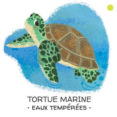 Protégeons les animaux. Mers et océans