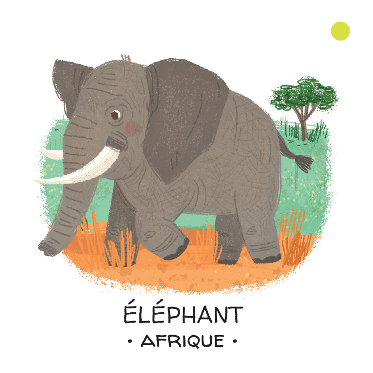 Protégeons les animaux. Déserts et savanes