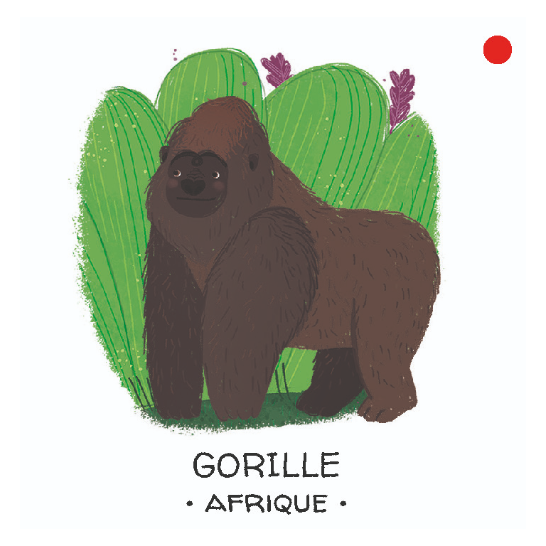 Protégeons les animaux. Les forêts tropicales