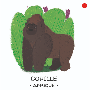 Protégeons les animaux. Les forêts tropicales