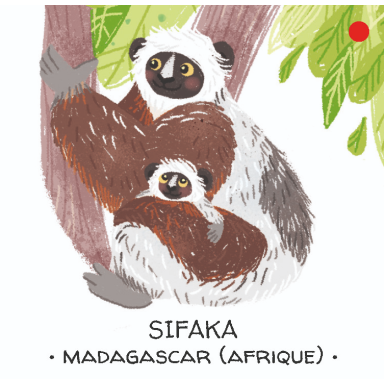 Protégeons les animaux. Les forêts tropicales