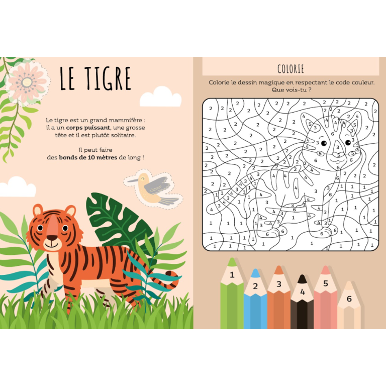 Le super 7 familles. La jungle