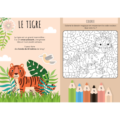 Le super 7 familles. La jungle