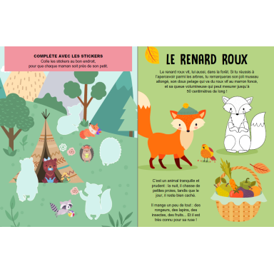 Méga Arts & Crafts. La forêt magique (Outlet)