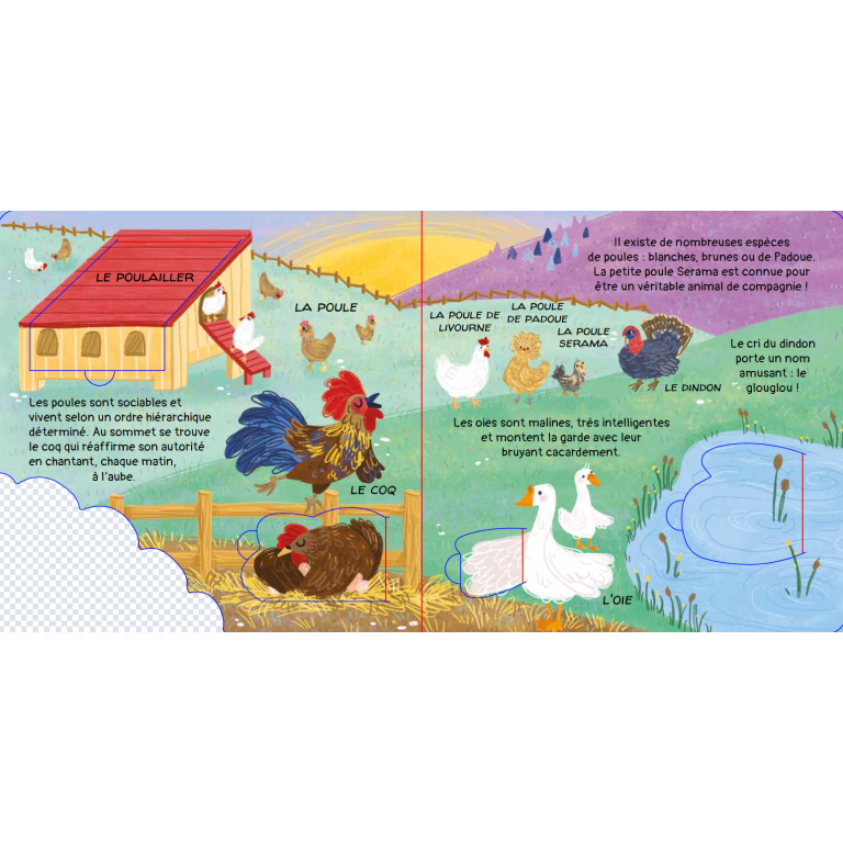 Nos amis les animaux. À la ferme