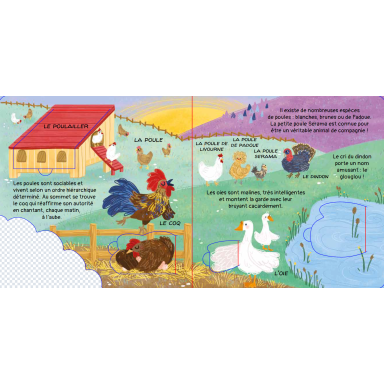 Nos amis les animaux. À la ferme