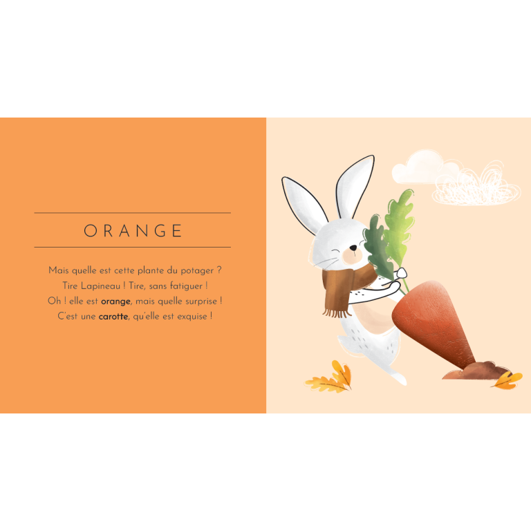 Touche à tout ! Les couleurs