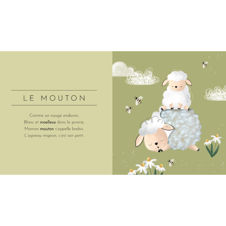 Touche à tout ! Les animaux