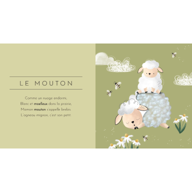 Touche à tout ! Les animaux