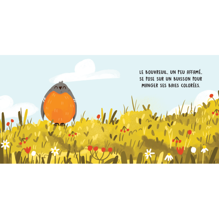 Douces histoires sonores. Les oiseaux