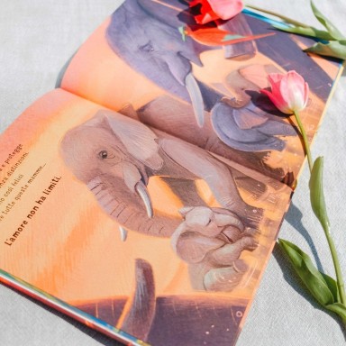 Tous les amours du monde