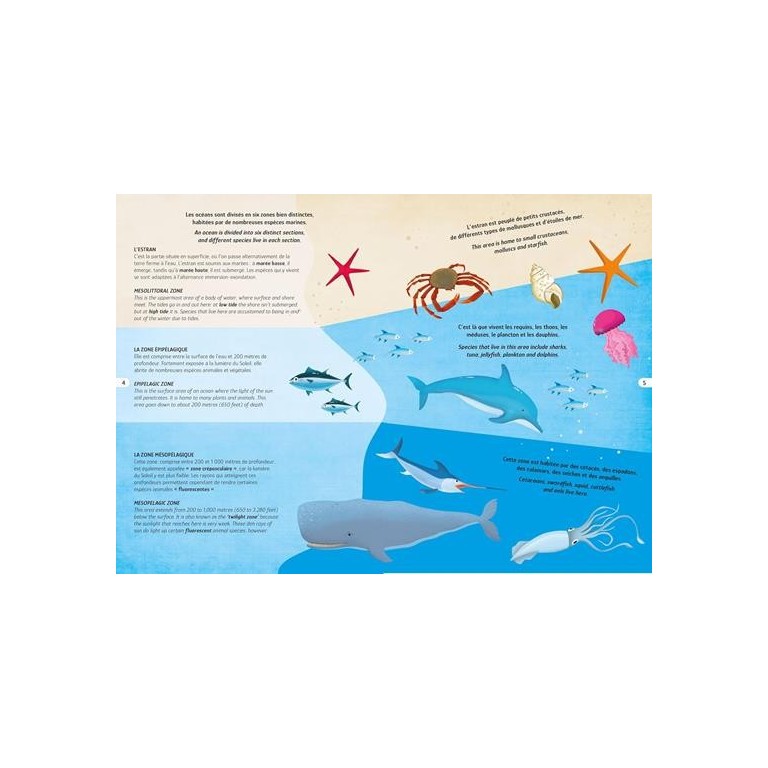 Voyage, découvre, explore. La mer