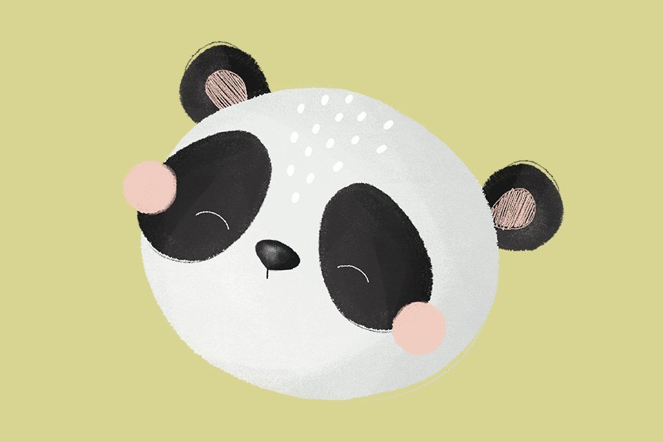 Panda Gnummy